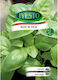 Ivesto Basil Seeds