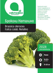 Семена Броколи Natalino Botanic