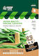 Green Bean Seeds Low Salad Sm