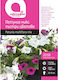 Petunia Seeds Mix Botanic