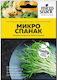 Mikro-Samen Spinat 10 g
