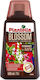 Top Plantella Flowering Plants 500 Ml