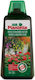 Top Plantella Balcony Plants 1l
