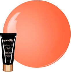 Polygel Revomax Gel Luxorise Apricot Sorbet 15ml