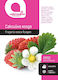 Potted Strawberry Seeds Botanic