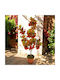 Plantă Artificială Ginkgo Biloba 80cm Hd Hd-10984