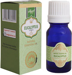 Jain's Αιθέριο Έλαιο Ευκάλυπτος 10ml