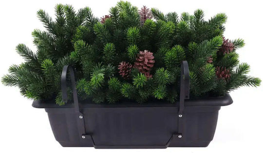 Decorative Plant In Box Rossima Pine Cone