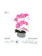 Artificial Garden Pink Orchid Decorative Plant Intense Pink Orchid H43cm