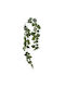 Hanging Green Ivy 195cm 48/box