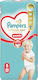 Pampers Diaper Pants Premium Care No 5 for 11-16kg 50 Pieces