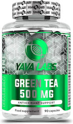 Yava Labs Зелен Чай 500mg 90 Капсули Yava Labs Зелен Чай 500mg 90 Капсули