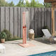 vidaXL Pool Shower from Natural Wood with Height 217cm Brown