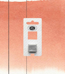Roman Szmal Mummy Transparent Red