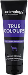 Animology True Colours Șampon Pentru Câini