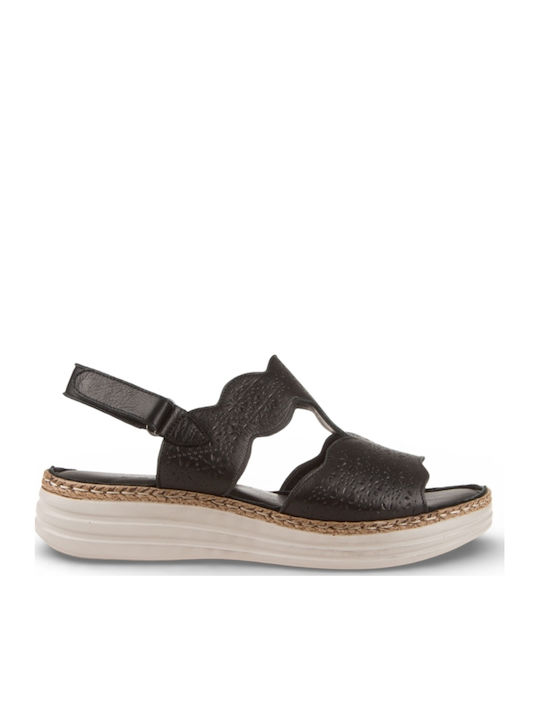 Air Anesis