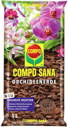 Potting Substrate Orchids 5l Compo