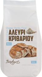 Αλεύρι Κριθαριού 500g Βιοαγρός Bio Τεμάχιο Αλεύρι Κριθαριού 500g Βιοαγρός Bio Τεμάχιο