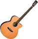 Tanglewood Ακουστική Κιθάρα