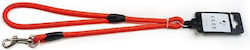 Glee Dog Leash/Guide Strap Round in Red Color