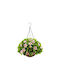 Decorative Greenery Hanging Basket Ø28cm Hd Gardenia