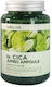 Lebelage Dr Cica Jumbo Ampoule 250ml