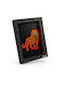 Kidywolf Kids Room Decor Accessories 3 Pieces