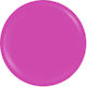 Sensopro Milano Expert Line Uv Colored Gel Orch...