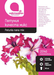 Petunia Clustered Botanic Samen