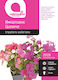 Impatiens Botanic Seeds