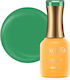 Luxorise Semi-permanent Nail Polish Energy Coll...