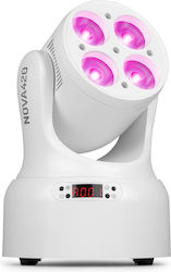 Beamz LED (RGBW)
