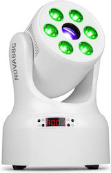 Beamz LED (RGBW) Beamz LED (RGBW)