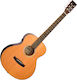 Tanglewood Chitară Acustică