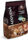 Dog Food 2.5kg Dry Dog Food Grain-Free for Adult Small Breed Dogs with Beef