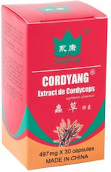 Yongkang Cordyang Extract De Cordyceps 497mg 30 Capsule