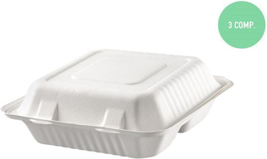 Set 125 Boxes Made of Sugar Cane 23x23cm Container