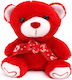 Plush Teddy Bear Red 22cm