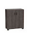 Dulap Pentru Pantofi Din Lemn 60x30x83.5cm