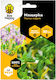 Bee Happy Thyme Seeds