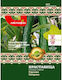 Cucumber Gergana Seeds Bulgarian Seeds