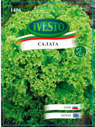 Ivesto Lollo Bionda Kopfsalat Samen