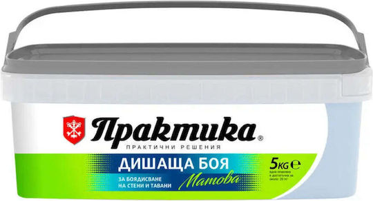 Innen- und Außenfarben Farbname Frost 5 Kg Praktika