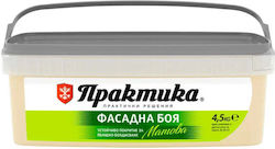 Vopsea Pentru Fațade Papaya 4.5 Kg Praktika