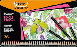 Intensity Premium Colored Pencils 36 Colors Bic Intensity Premium Colored Pencils 36 Colors Bic