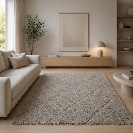 Geometric Living Room Rug Rectangular Shaggy Vizon 160x230cm