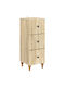 Metal Storage Cabinet L33xW34.5xH90cm
