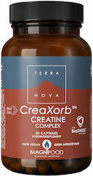 TerraNova CreaXorb Creatine Plus TerraNova CreaXorb Creatine Plus