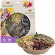 Vitapol Vita Herbal Lunch Bowl Chinchillas Degus