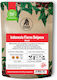 Cafea Espresso Ingagi Indonesia Flores Beiposo 250g Boabe